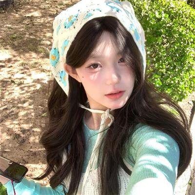 如果德川家康成为总理大臣